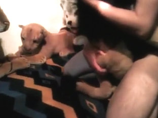 Safer sex with a lion plushie